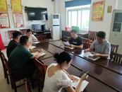 宜秀區大橋街道九塘村：強化黨建引領 扎實做好防止返貧動態監測排查工作