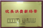 喜报！2023年度皖美消费新场景百强名单公布，三河古镇入选