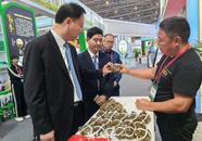 黃曉武巡視合肥農交會蚌埠展廳