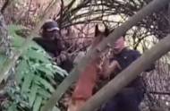 老人深山走失30小時被警犬找到