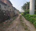 懷寧石牌：黨建引領辦實事   硬化路面暖人心