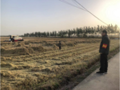 常墳鎮(zhèn)五路村：“造血式”幫扶，為鄉(xiāng)村振興添動力