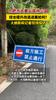 合肥市大蜀山森林公园综合提升改造进展如何？大皖新闻记者现场探访