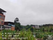 大量鳥群盤旋天空 廣西地震局：不屬于地震前兆異常
