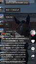 河北保定一馬場關門，網民發文呼吁救救小馬