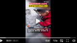 5岁男孩发现5亿年前古生物化石