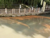 上海浦東一河道變成“羅宋湯”？施工項目已暫停
