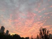 合肥天氣轉(zhuǎn)晴但氣溫回升乏力 預(yù)計(jì)13日夜間低溫0℃