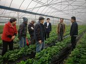 宜秀區白澤湖鄉芭茅村：老有所學，讓老年生活有“滋味”