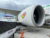 突發！客機被撞出大洞！航班緊急取消