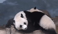 一家三口，到家啦！