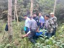 休宁一老人深山遭野猪袭击，受伤严重
