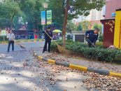 望城街道物業(yè)：吹響秋日序曲，潔凈家園落葉