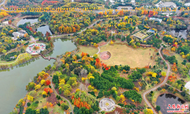 六安中央公園公園風景如畫