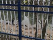 新聞追蹤 | 六安淠東干渠缺失護欄補上了  上游河道又發現相同現象