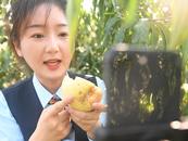 咱村的新鮮事|桃子在樹上 訂單在網上 “田間直播間”打開新銷路
