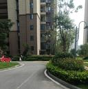 安慶市宜秀區大橋街道九塘村：多措并舉擦亮文明底色 美化村居賦能鄉村振興