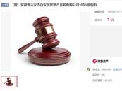 1元拍下涉黑企業全部股權！法院回應：程序合法合規