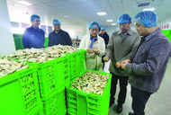 食品生產“零距離” 巢湖市組織開展食品生產企業開放日活動