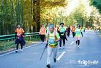 登山竞技不耽搁游览风光！千余国内外“跑友”在黄山最美季节挑战极限
