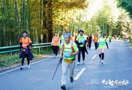 登山競技不耽擱游覽風光！千余國內外“跑友”在黃山最美季節挑戰極限