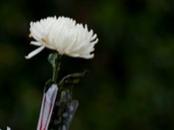 我國著名體質(zhì)人類學(xué)家潘其風(fēng)逝世