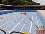 游泳教練員疏忽導致1名兒童溺亡  廣東紫金縣公布事發經過