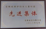 “安徽省维护妇女儿童权益先进集体” 怀远县法院河溜法庭这么干！