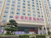 志愿者舉報醫院賣出生證明，院長被警方帶走調查