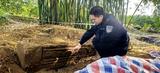 男子看盗墓小说后结识三同伙盗墓，学小说桥段在墓室点蜡烛