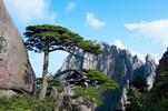 黄山成为全国首个山岳型零碳景区