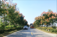 河溜鎮(zhèn)：建好“四好農(nóng)村路” 鄉(xiāng)村振興有坦途
