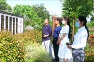 河溜鎮：“三治”融合培育鄉風文明促進鄉村振興