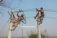 亳州市渦陽縣：建設高標準農田配電線路工程