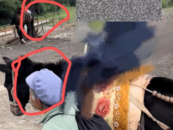 游客在麗江花168元騎馬變成騎騾子  景區：騾子也屬于馬