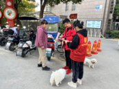 黃莊街道朝陽社區開展“文明養犬共建和諧社區”宣傳活動