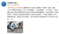 香港擬禁止喂飼野鴿 最高罰款10萬港元