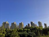 氣溫直降10℃以上  合肥預計本周最低氣溫僅2℃