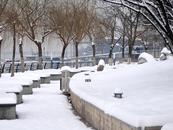 強降雪進入最強時段！中小學停課！多地緊急通知