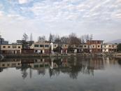安慶市大龍山鎮(zhèn)燎原社區(qū)：“黨建+”引領(lǐng)鄉(xiāng)村振興譜新篇