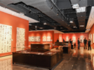 “五星出东方”书法作品在合肥高新区展出 持续到11月28日