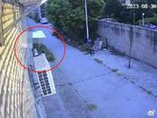 湖北一名4歲半女童遭未滿12周歲男孩殺害？警方稱已受理此案