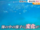 日本静冈海域出现异常变化
