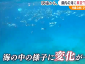 日本静冈海域出现异常变化