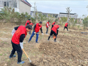 翻土整地 蚌埠十六中教育集團黨員志愿者在行動
