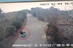 “迷途”老人误入安徽广德 皖浙两省民警深夜4小时接力送回家
