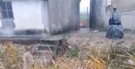 懷疑并非親生，七旬老漢殘忍殺害兒孫？警方：已介入處理