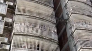 廣州一違建爛尾樓出租13年住滿人 街道辦回應：難以處理