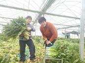 宜秀區羅嶺鎮羅嶺社區：“宜業工坊”助力鄉村振興