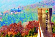 魅力八公山 初冬景如畫